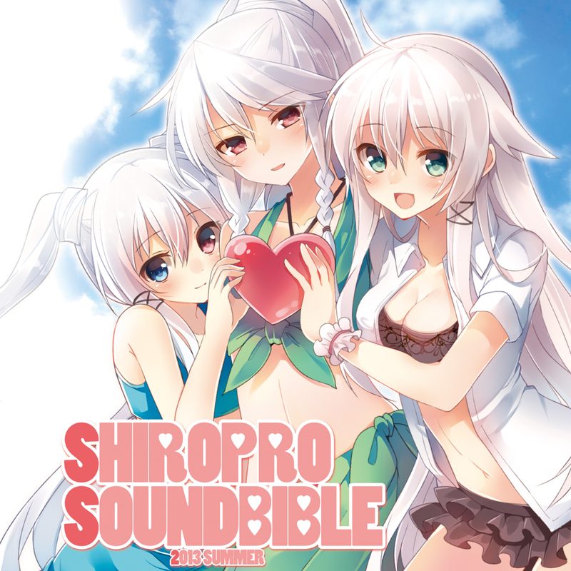 SHIROPRO SOUND BIBLE 2013 SUMMER
