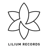 REMIXES VOL.4